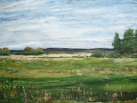 Moor in Worpswede